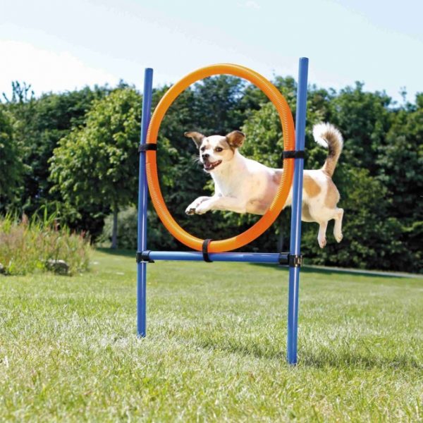 Trixie Agility Ring – Bild 3