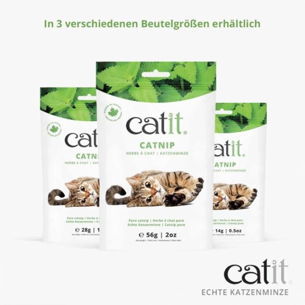 Catit Echte kanadische Katzenminze - 14g – Bild 5