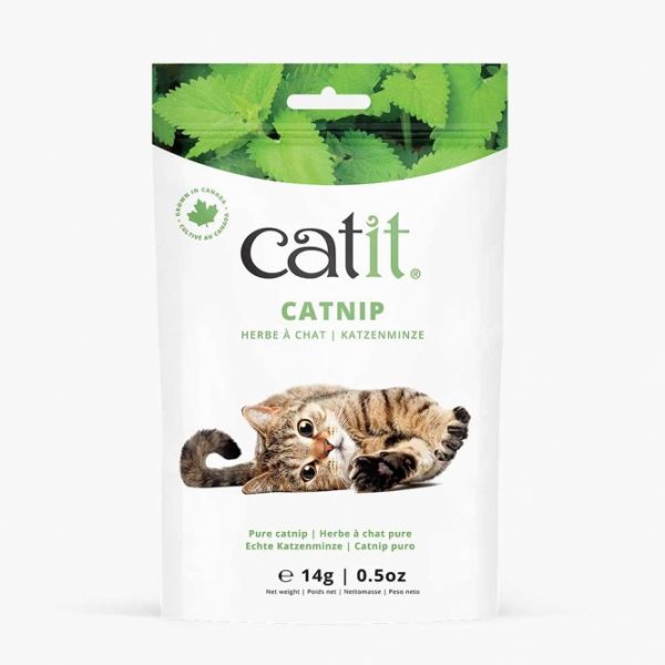 Catit Echte kanadische Katzenminze - 14g – Bild 3