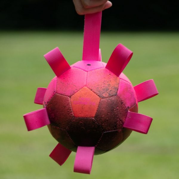 Dog Comets Ball Hypernova - Pink – Bild 5