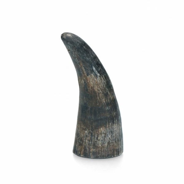 Viking Whole Horn - S