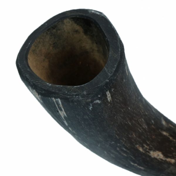 Viking Whole Horn - M – Bild 4