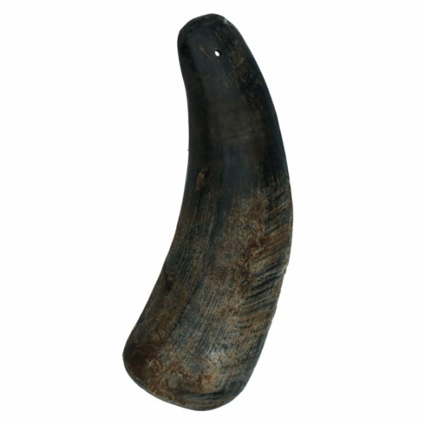 Viking half Horn - S – Bild 3