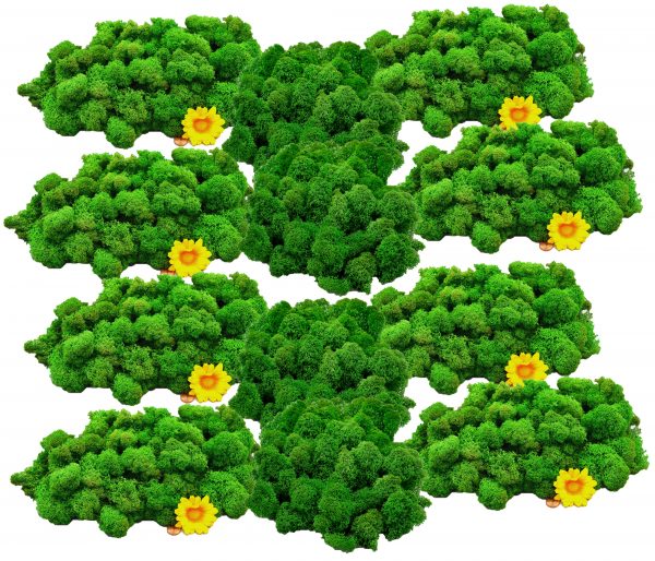 Muwse Islandmoos Grasgrün 1000 g Basteln Wandbilder Dekoration Gestalten
