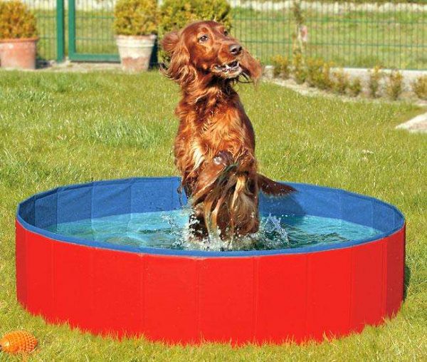 Karlie DOGGY POOL der Swimmingpool für Hunde - Rot-Blau - 120 cm – Bild 3