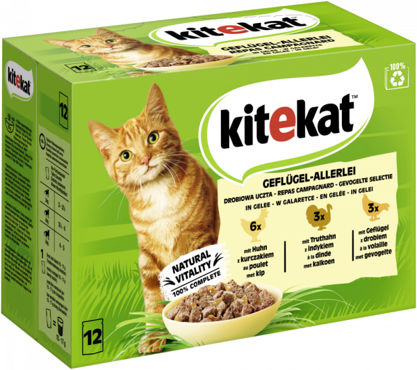 Kitekat MP Geflügel-Allerlei Gelee 12x85gP