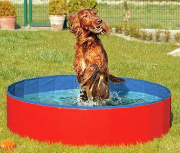 Karlie DOGGY POOL der Swimmingpool für Hunde - Rot-Blau - 160 cm – Bild 3